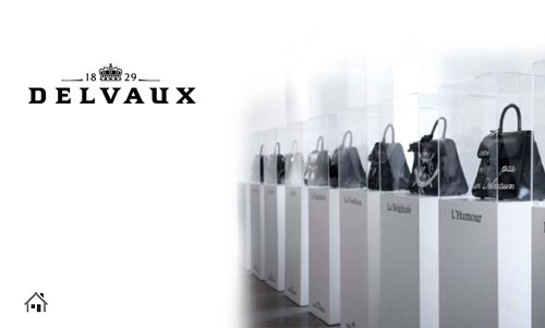 Celebrities Who Use Delvaux
