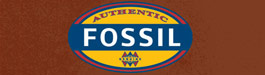 Fossil